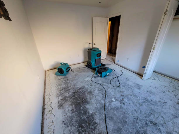Best Water damage cleanup near me  in Manchester, MO