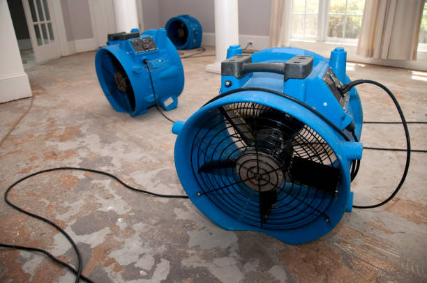 Best Commercial water damage restoration  in Manchester, MO