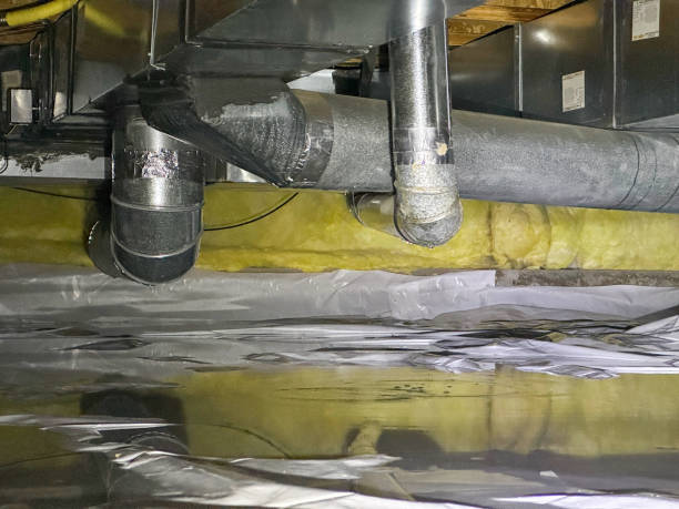 Best Local water damage restoration  in Manchester, MO